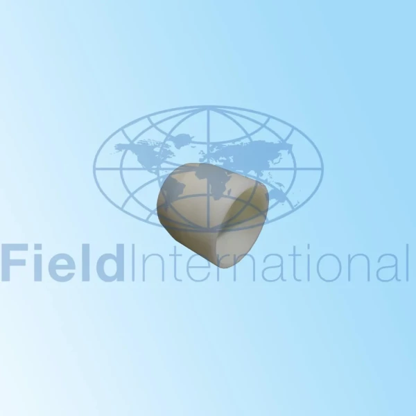 10pre65b00161 1 scaled