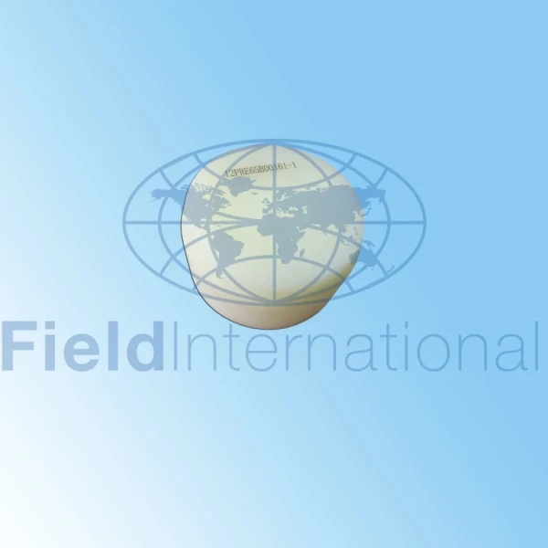 12pre65b00161 1 scaled