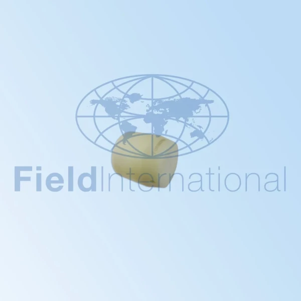 3pre65b00163 1 scaled