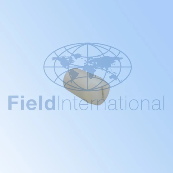 6pre65b00161 1 scaled